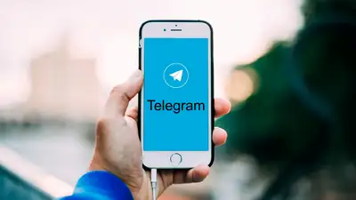 ООН назвал Telegram "местом для преступных группировок"